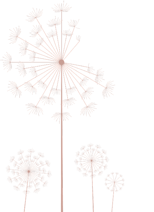 Dandelion